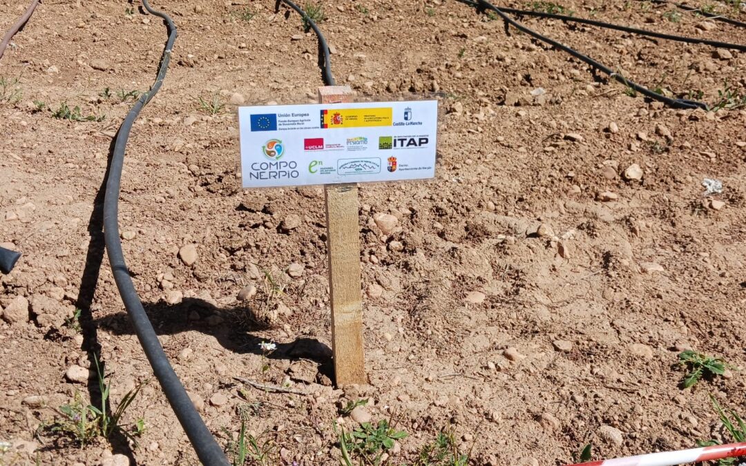 EL GRUPO OPERATIVO COMPO – NERPIO PONE EN MARCHA LA APLICACIÓN EN CAMPO DEL COMPOST GENERADO A PARTIR DE INGREDIENTES LOCALES