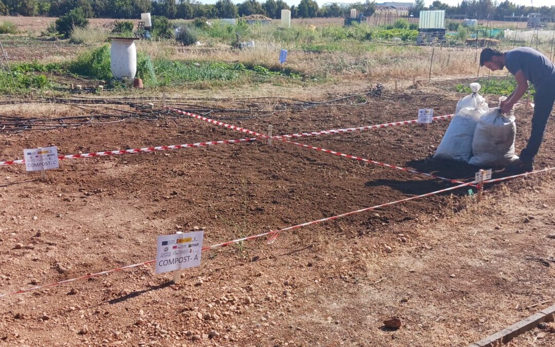 EL ESTUDIO AGRONÓMICO DE LAS ALTERNATIVAS DE COMPOST DEL GO COMPO – NERPIO SE REPLICA EN LA ETSIAMB DE ALBACETE